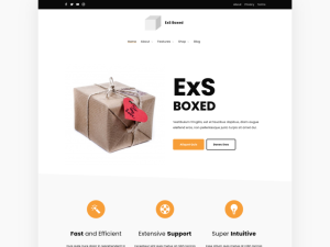 exs boxed