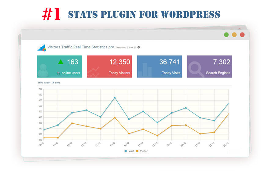 Visitor Traffic Real Time Statistics