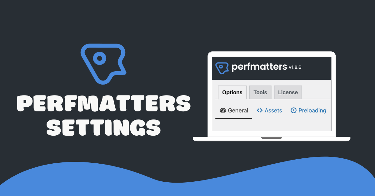 1739961174 perfmatters settings